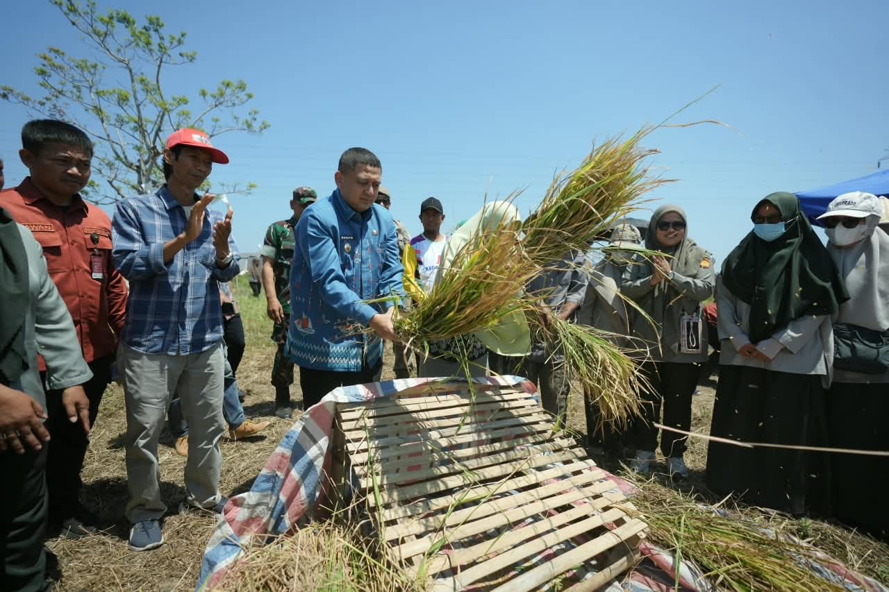 Munafri Salurkan 2.000 Liter Pupuk dan Ribuan Kilogram Benih untuk Kelompok Tani Makassar
